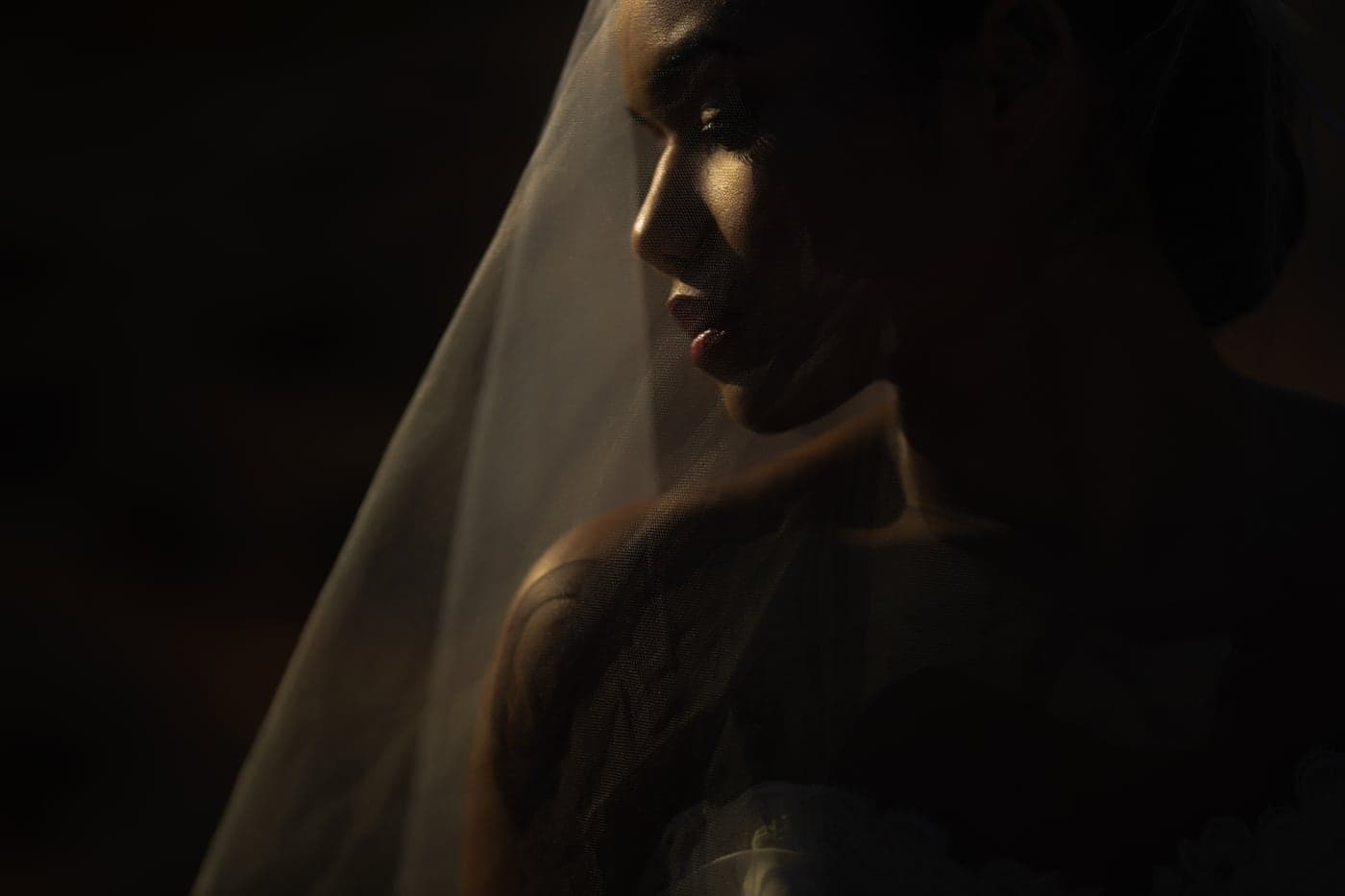 Veiled bridal profile in low light