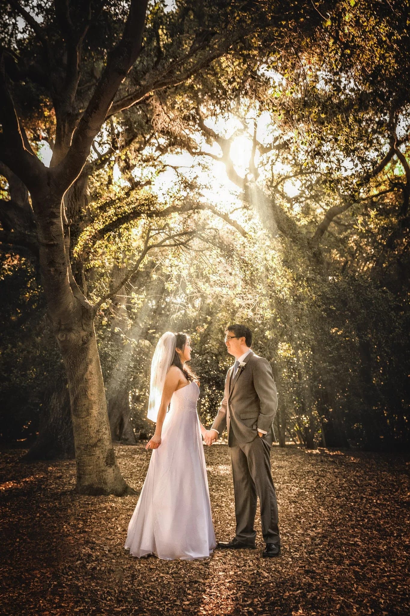 Couple walking a shaded, tree-lined gravel path through the oak and camellia forest at Descanso Gardens in La Canada Flintridge.