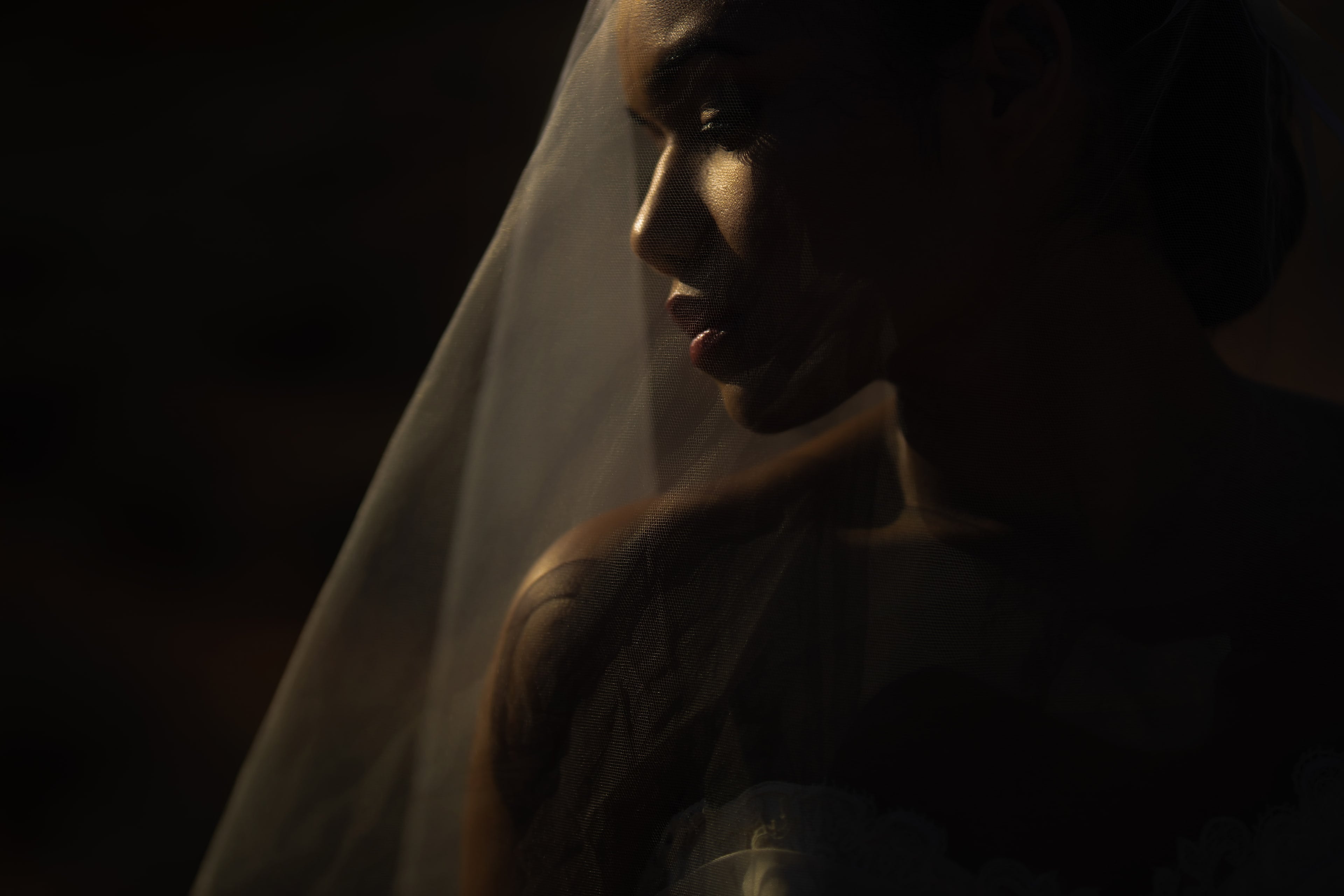 Quiet bridal portrait beneath a translucent wedding veil