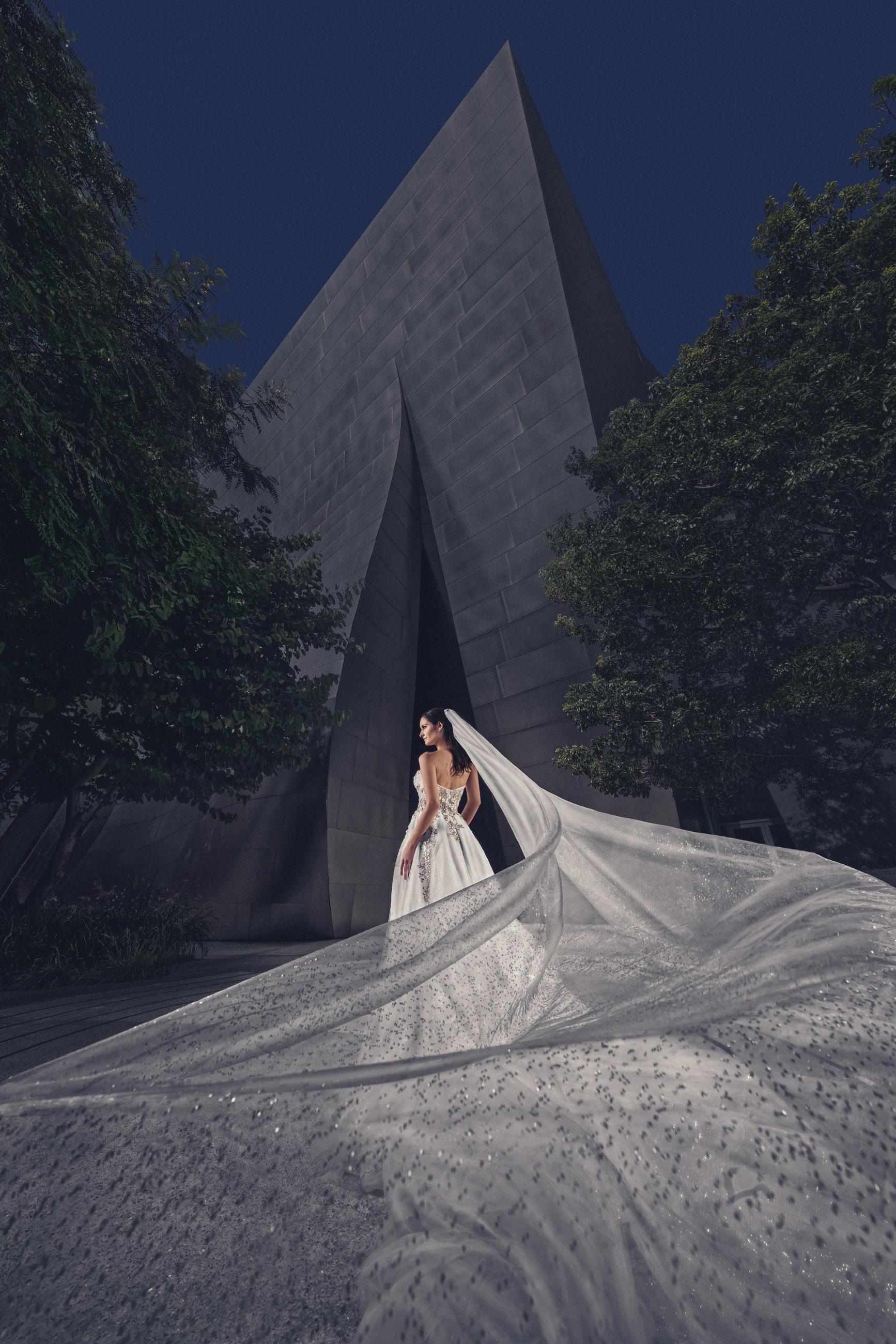 A bride framed by the silver architecture of Walt Disney Concert Hall