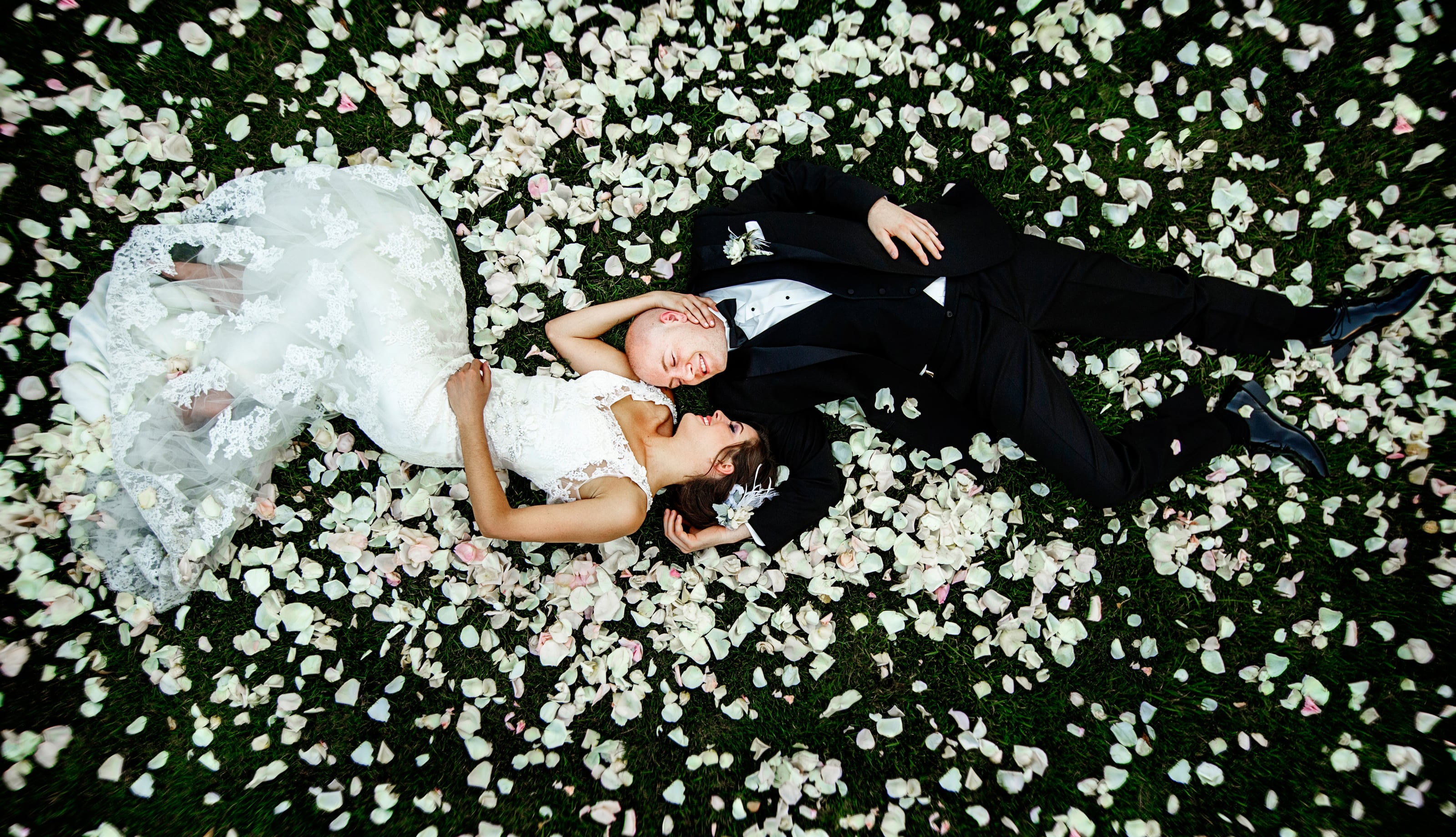 Bride and groom lying among white rose petals, photographed from above