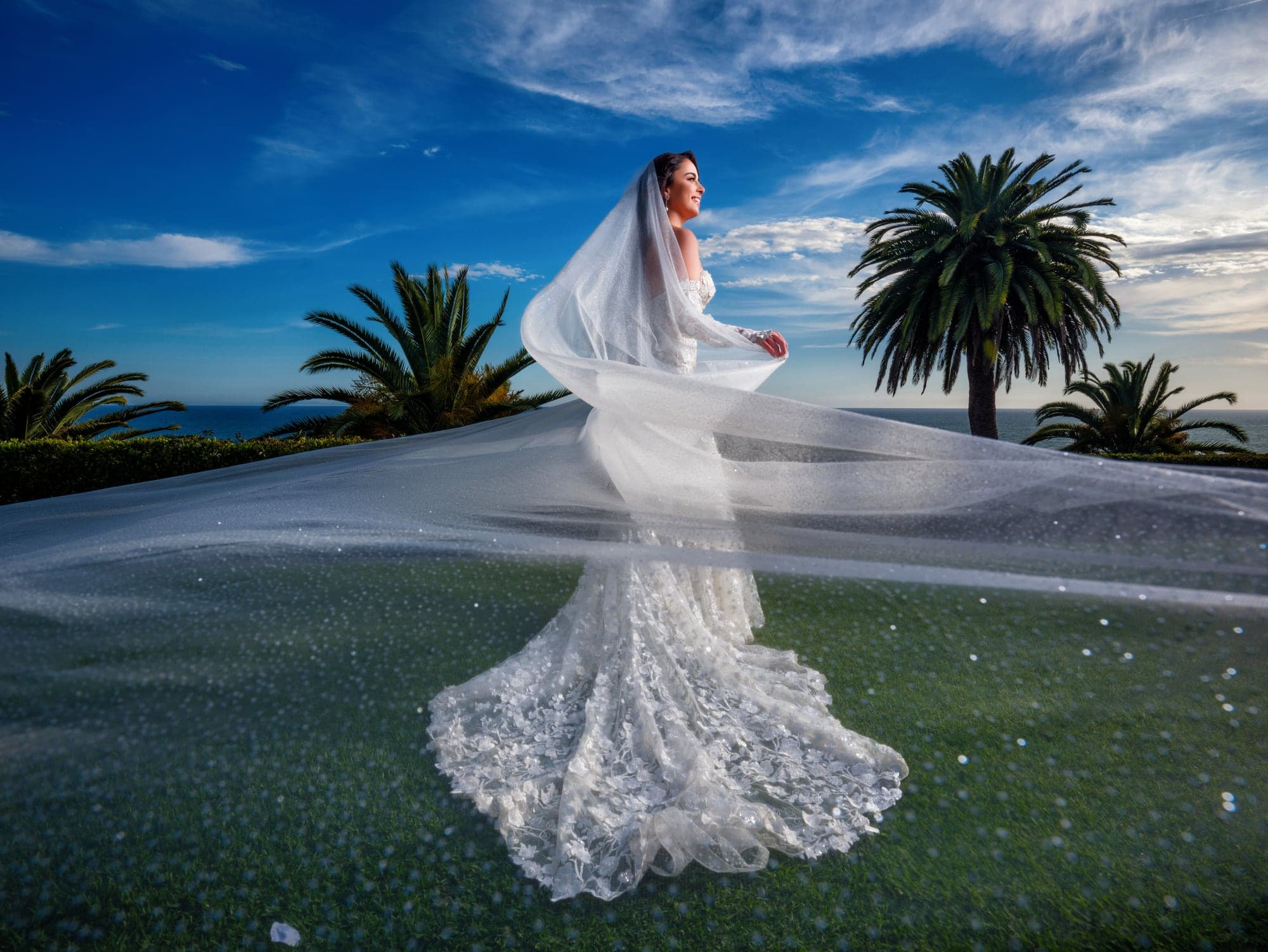 Kaitlan and James framed by a flowing veil above the Pacific Ocean