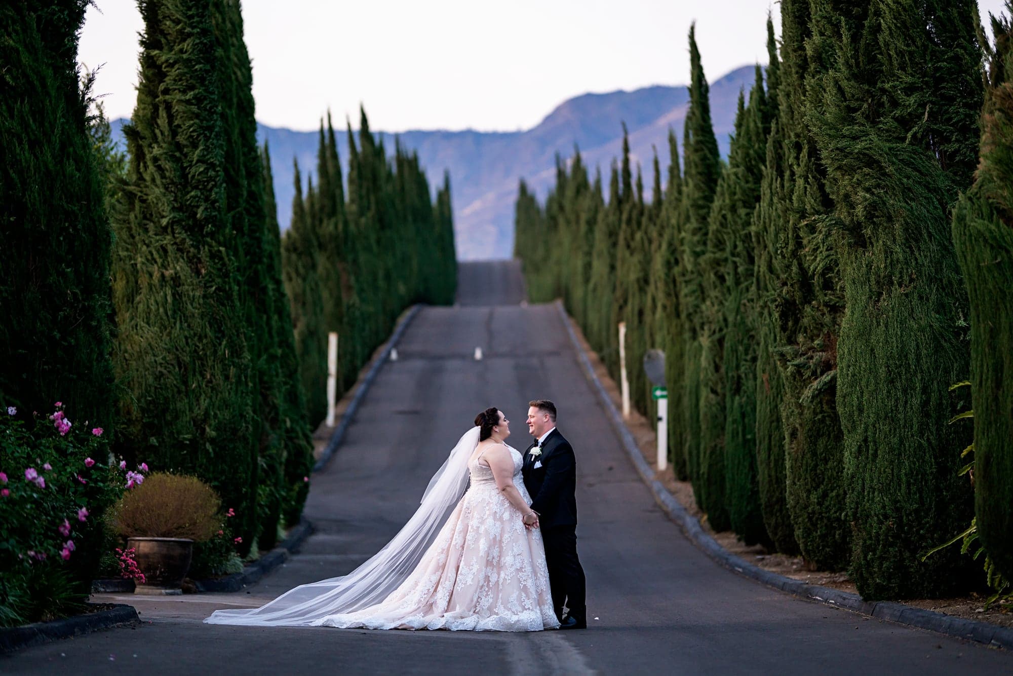The Stillwell couple on a tree-lined drive at Bella Vista Groves