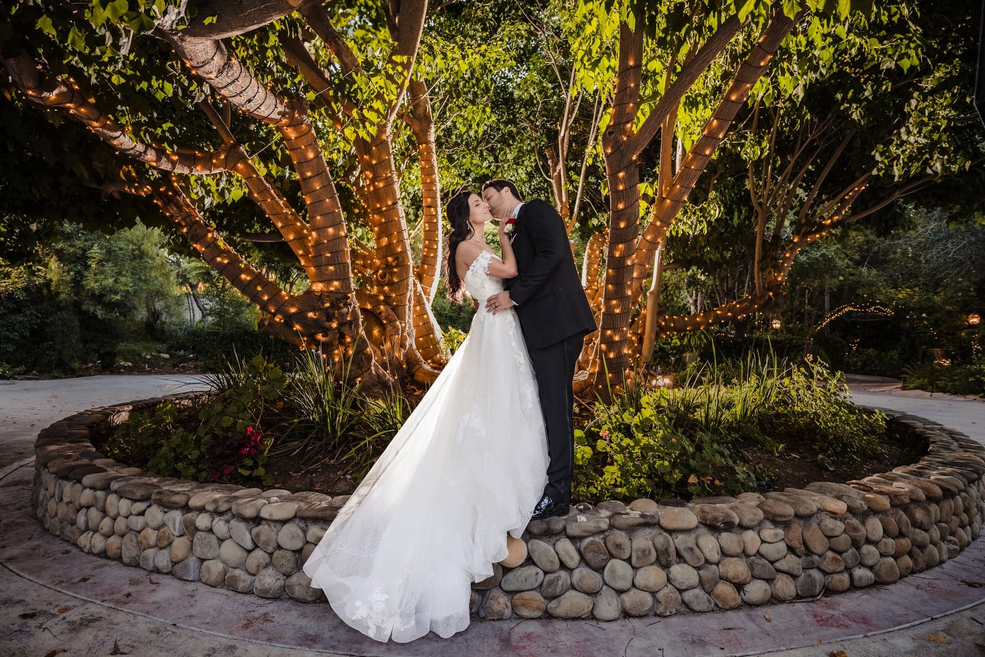 Michelle and Scott beneath a mature tree at Eden Gardens