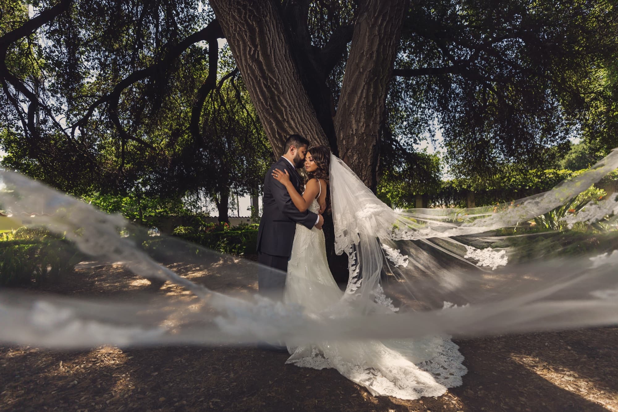 Angela and Arthur embracing beneath a massive oak in Brand Park, her cathedral veil sweeping in a wide arc around them