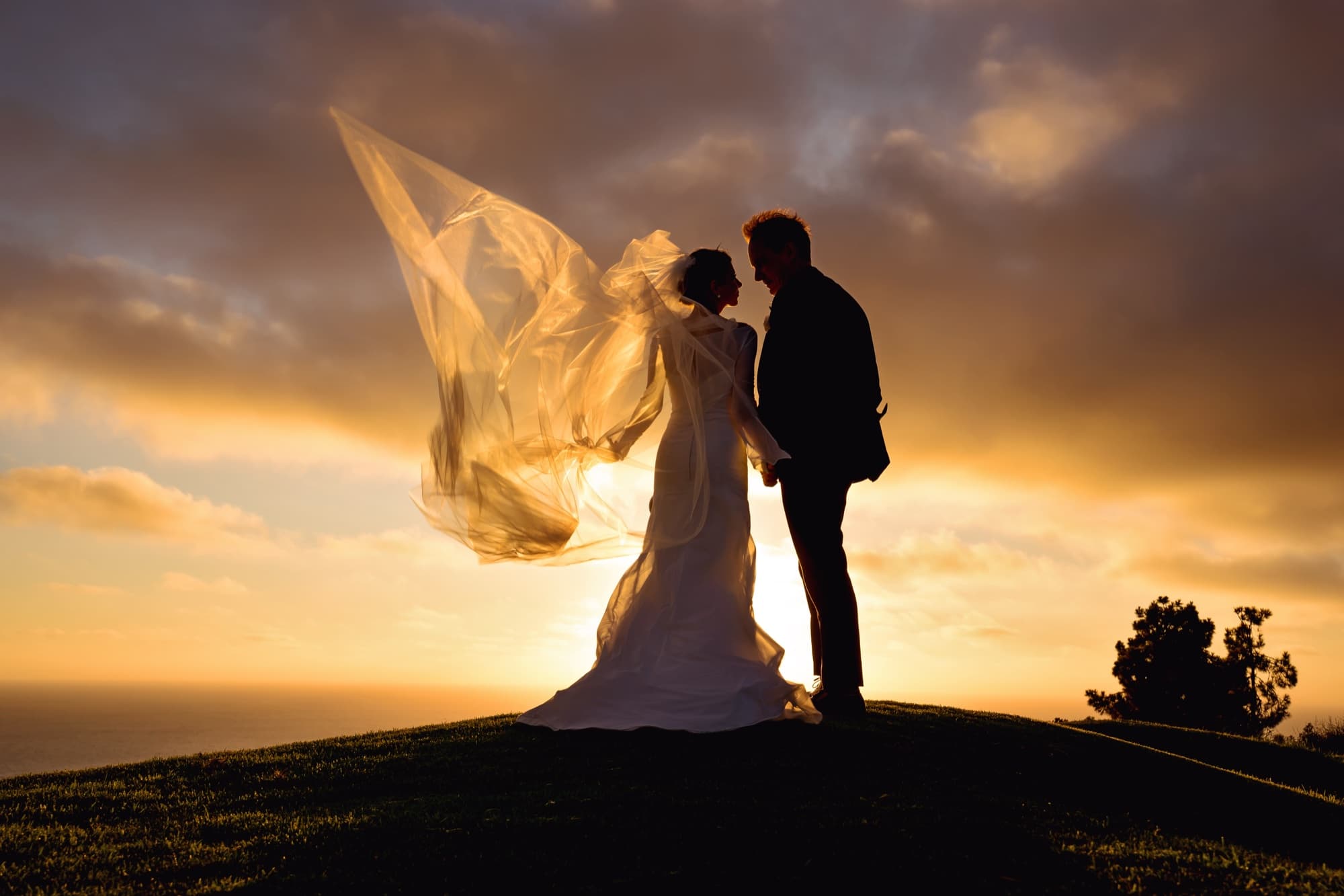 Silhouette of Andrea and John on the bluff as her veil lifts into the golden sunset over the Pacific at Los Verdes