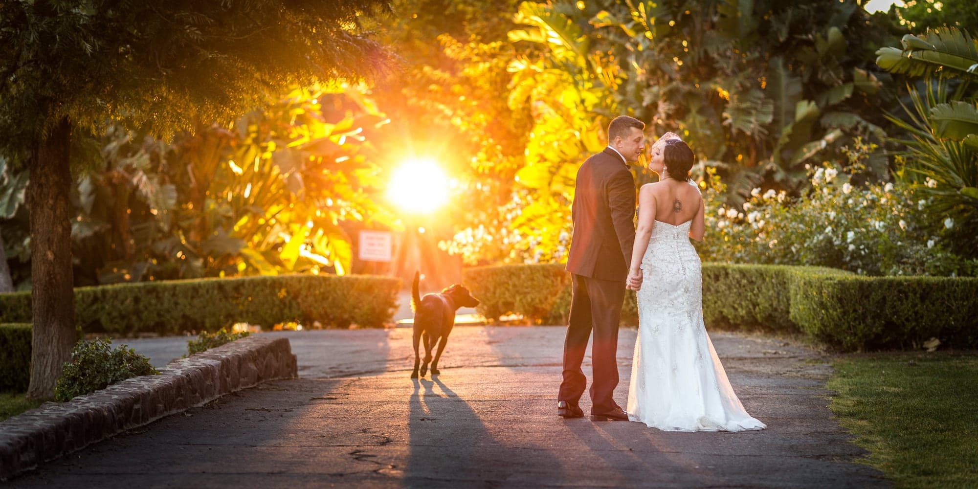 Tiffany and Josh at sunset with their dog at Newhall Mansion