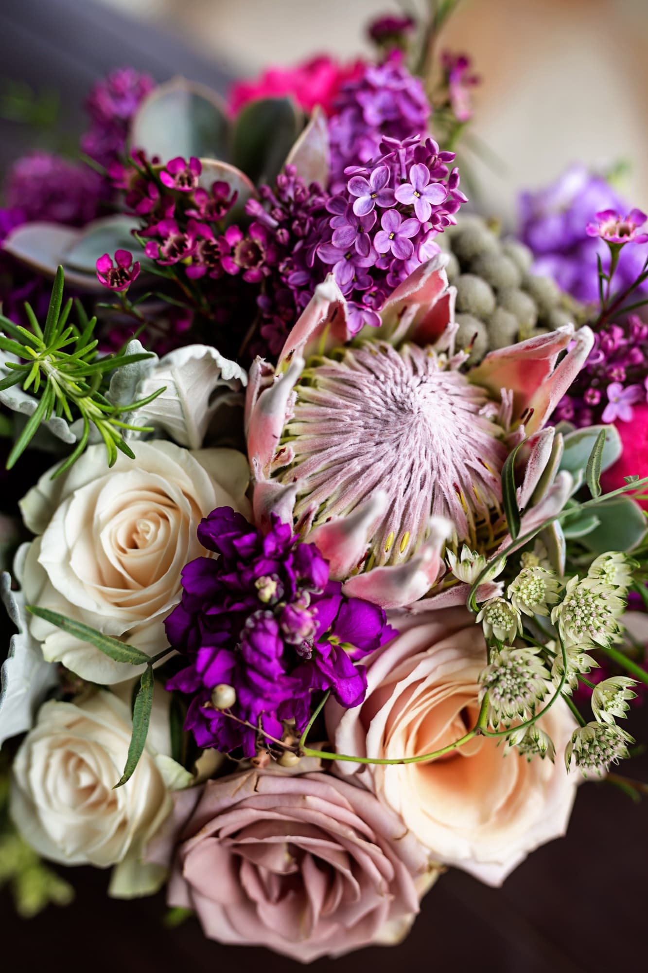 Yomna's bouquet of blush roses, king protea, and deep purple stock by Magnolia Floral Design