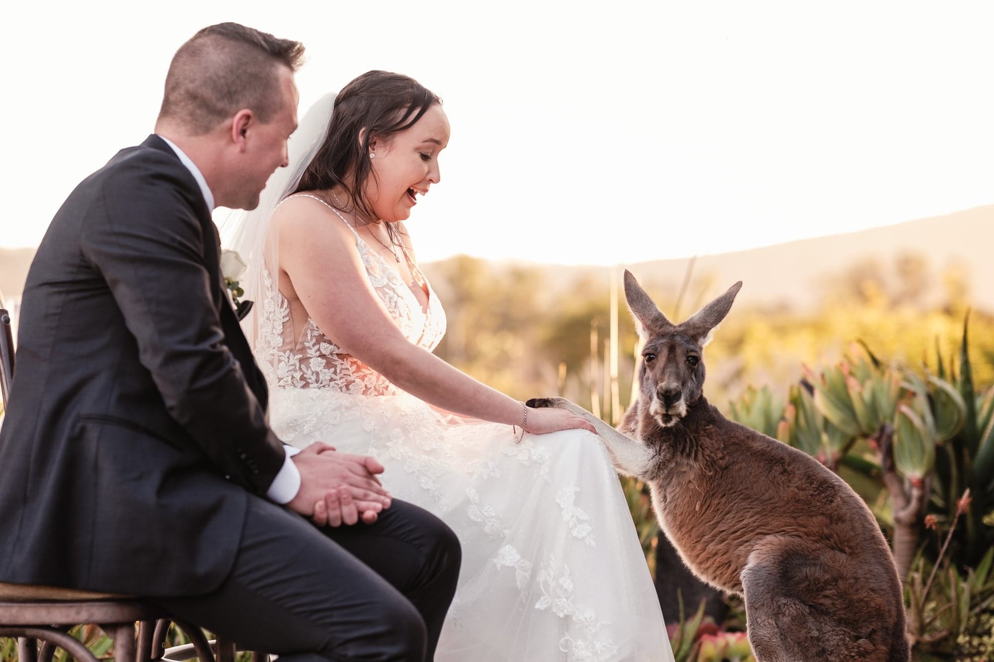 Leslie and Paul meeting a kangaroo at San Diego Safari Park