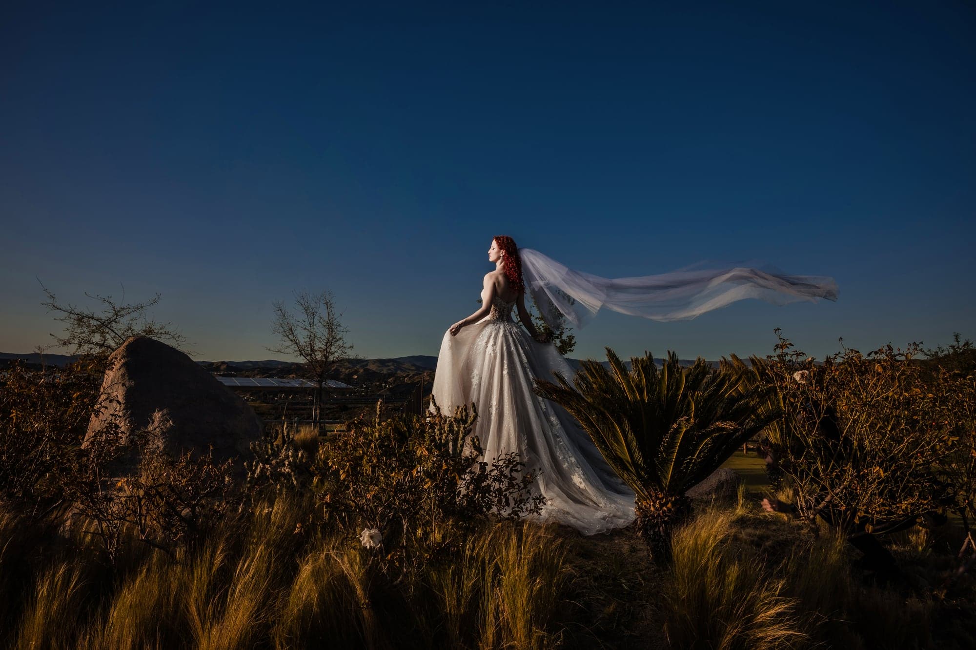 Maria and John in a dramatic evening portrait