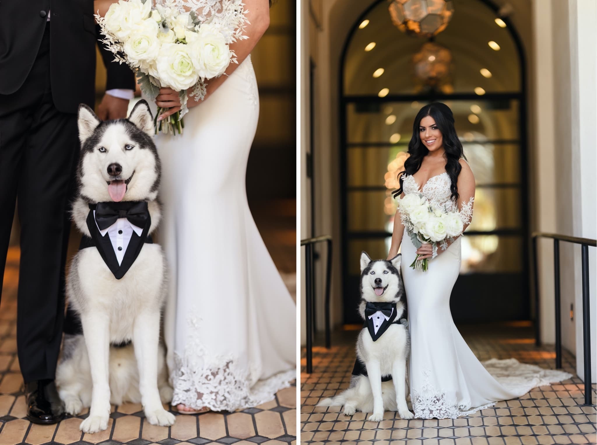 Christina and Ryan's two huskies in tuxedo bandanas posing beside the bride and groom outside the cathedral