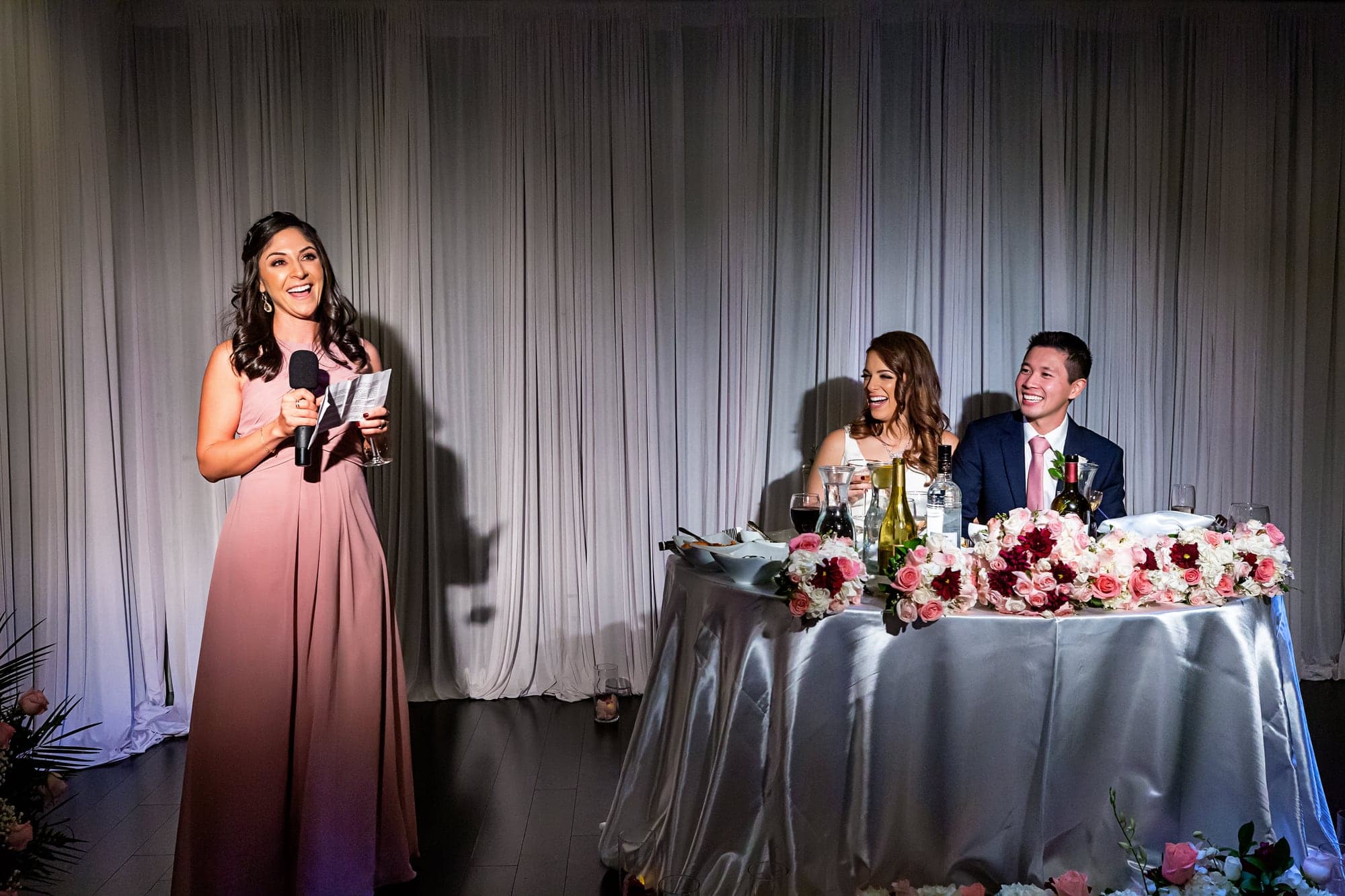 Wedding toast during the Vertigo reception