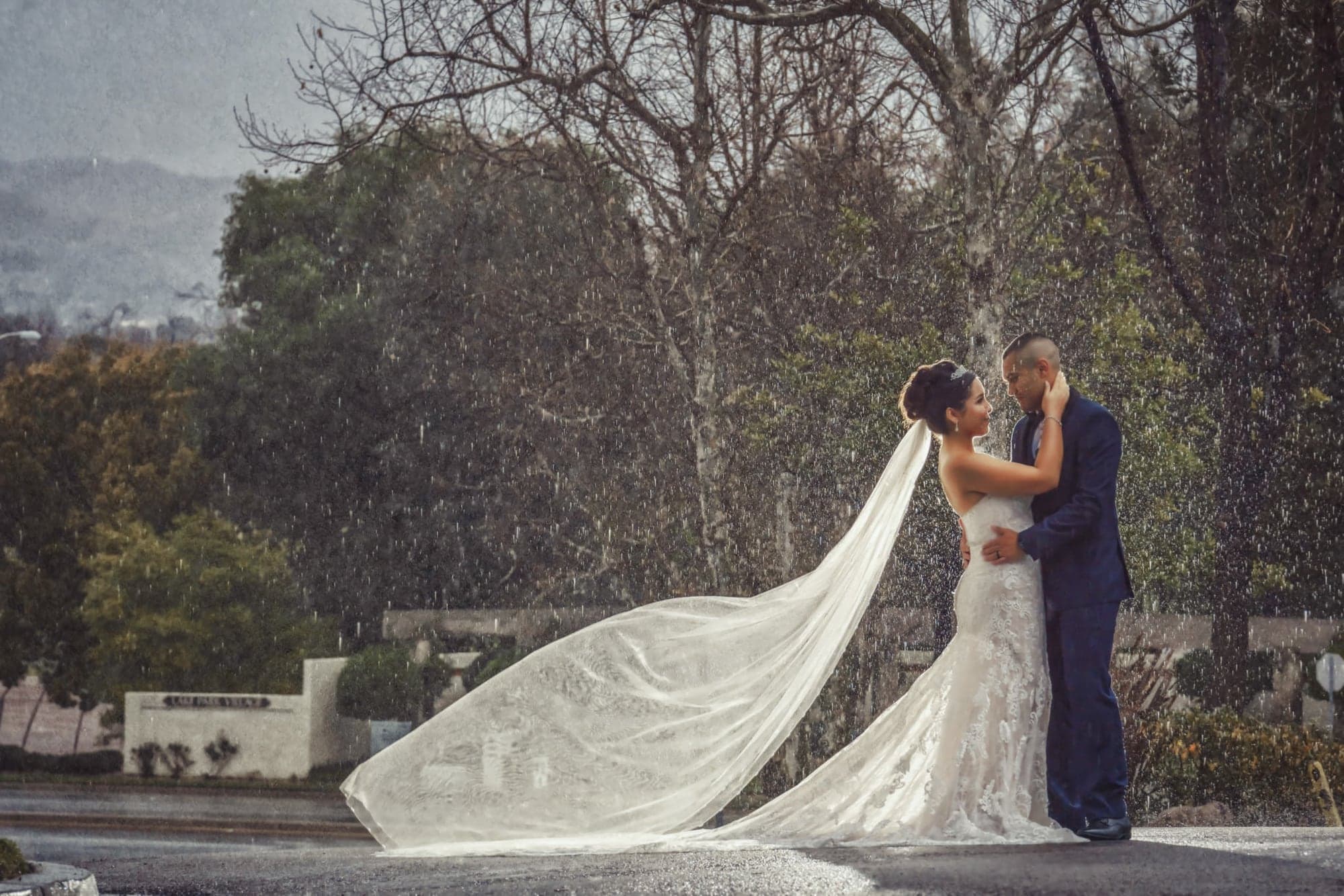 The newlyweds beneath a long flowing veil